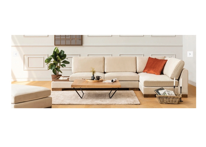 Luxury Sofa Set-LS2